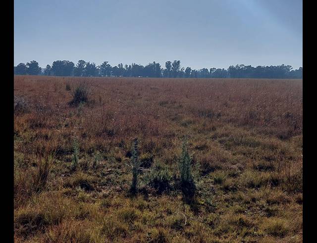 13,397M² VACANT LAND FOR SALE IN DE DEUR